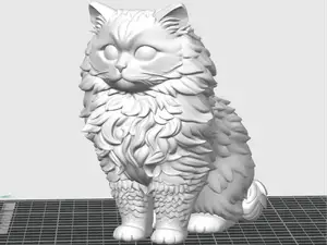 hairy cat
