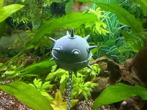 Aquarium floating mine