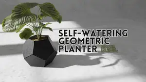 Self Watering Geometric Planter