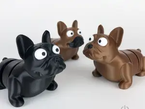 Cute French Bulldog