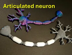 Articulated Neuron