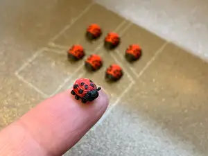 Mini Ladybug