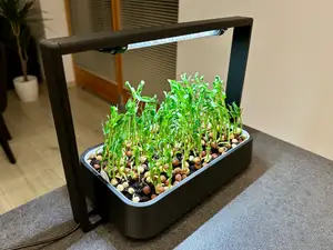 DIY Micro Garden – Indoor Microgreens Grow System