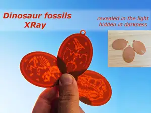 Dinosaur fossils Xray - visible against light