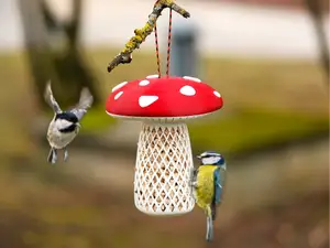 Fly Agaric Bird Feeder