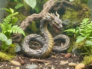 Drachen Schlange