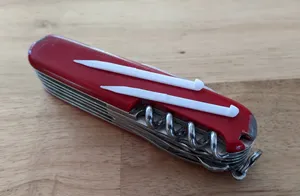 Toothpick for the Swiss Army Knife