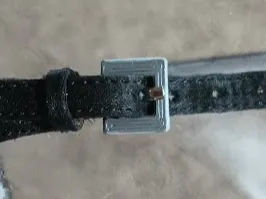 Prom Dress Shoe Strap Buckle