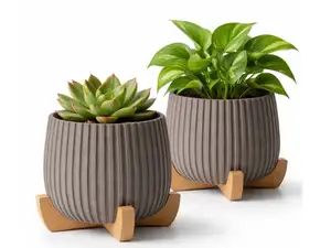 Flower or Succulent Planter with Stand
