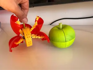 apple bug / insecto manzana / transformer
