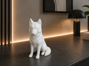 Siberian husky dog