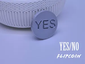 YES / NO Flip Coin