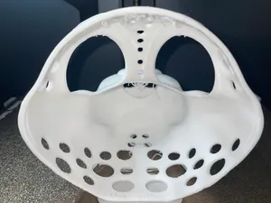 Tony nose maybe