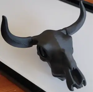 Cow Skull
