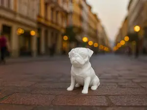The Pug dog very cute