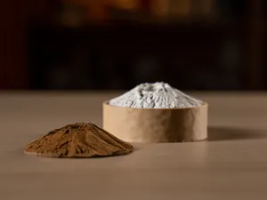 Montefuji incense holder