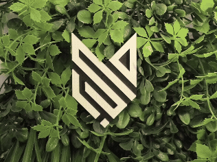 Tennis Atp + Davis + Sinner logo x Green Showcase