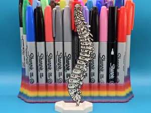 Spine Anatomy Coloring Craft Education