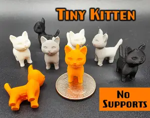 Tiny Kitten No Supports