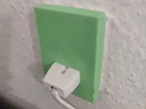 Switch cover (EU)