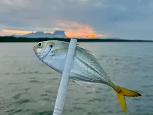 Ultralight Fishing Tongs