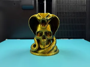 Totenkopf mit Schlange