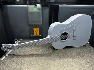 Acoustic Guitar complete with strings (PIP)