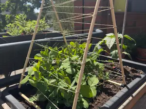 Garden Trellis Connectors – A-Frame Plant Support