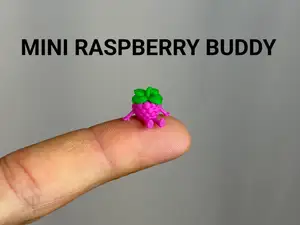 Mini Raspberry Buddy