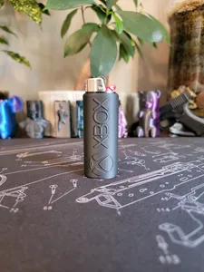 Xbox Bic Sleeve