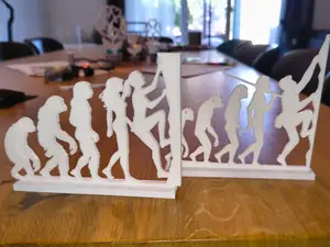 Human Evolution to Sport Climber – Male & Female