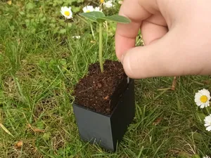 Seed Starter Pot – Easy Lift System 4×3 cm