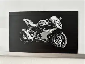2017 Kawasaki Ninja 300