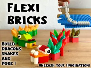 Flexi-Bricks Starter Kit