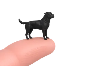 Rottweiler 30mm – Mini Dog