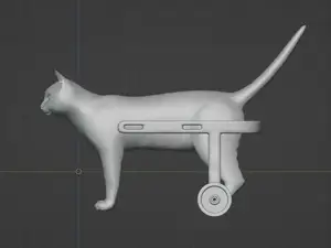 Cat Wheelchair