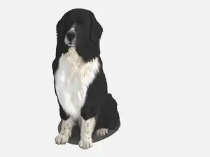 Newfoundlander/ Bernese mountain Dog Sculpture