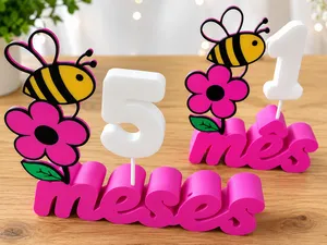Mesversário Set 1–11 Months