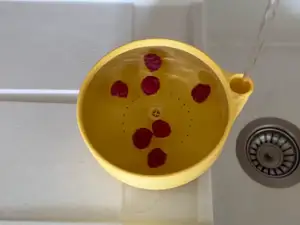 Fruit and Berry Washer