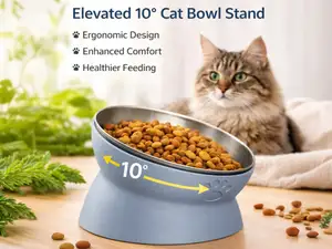 10° Tilt Cat Bowl Stand