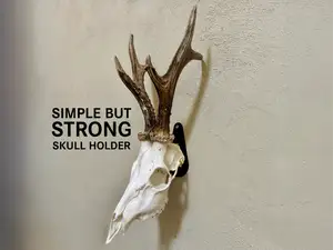 Simple but strong skull holder