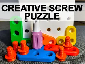 Creative Screw Puzzle