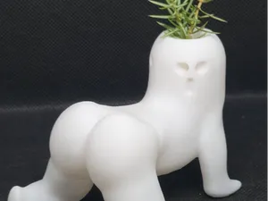 Bloom butt buddy