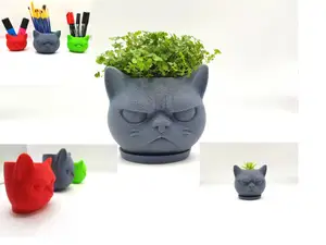 Grumpy Cat Mini Pot Organizer & Planter + coaster