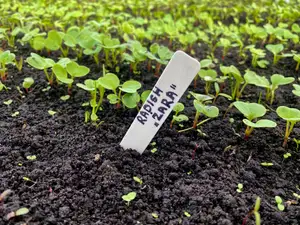 Gardening markers