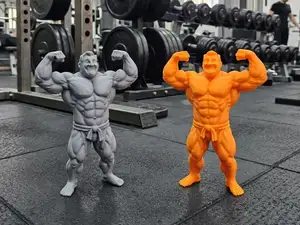 Funny man body builder