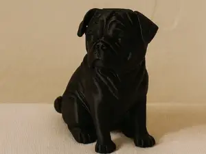 Der Denker-Mops – treu, charmant und philosophisch