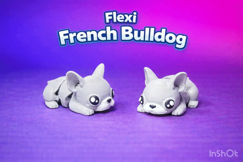 Flexi French Bulldog 