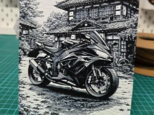 Kawasaki Ninja