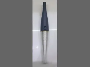 Olympic Torch 2024